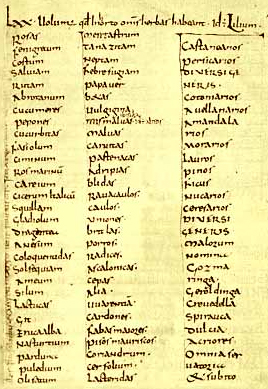 Das vom Kaiser Karl dem Großen im 9. Jahrhundert erlassene Capitulare de Villis et curtis imperialibus (Auszug)